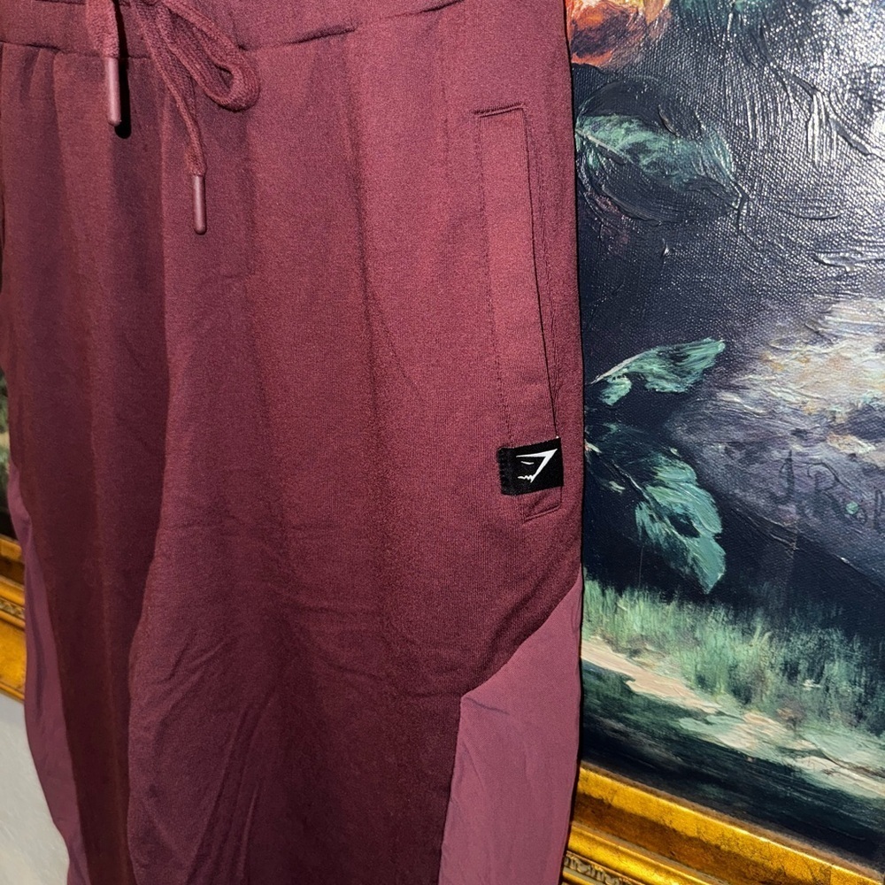 Gymshark High Waist Burgundy Sheer Paneled Leg Jogger Pants Tie Waist Size XS